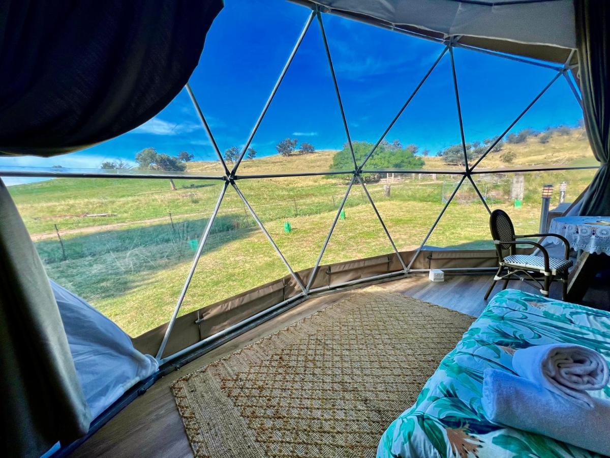 Hillview Farmstay Farm stay Gundagai