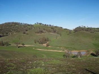 Farm stay Hillview Farmstay