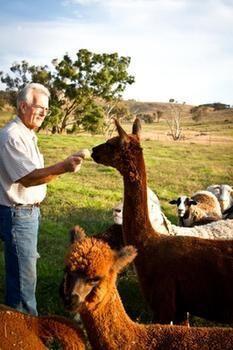 Hillview Farmstay Farm stay Gundagai