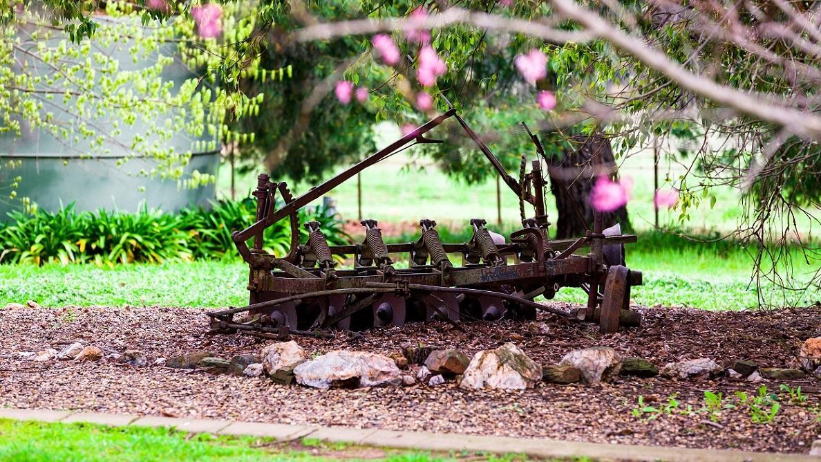 Farm stay Hillview Farmstay Gundagai