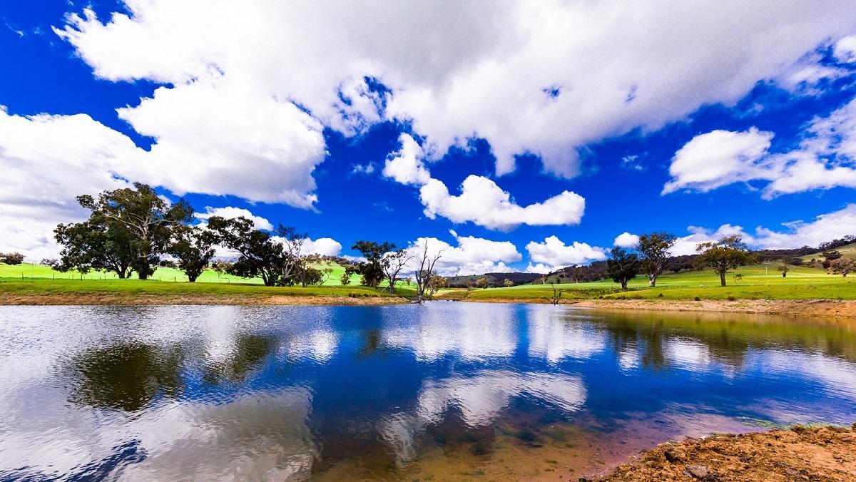 Hillview Farmstay *