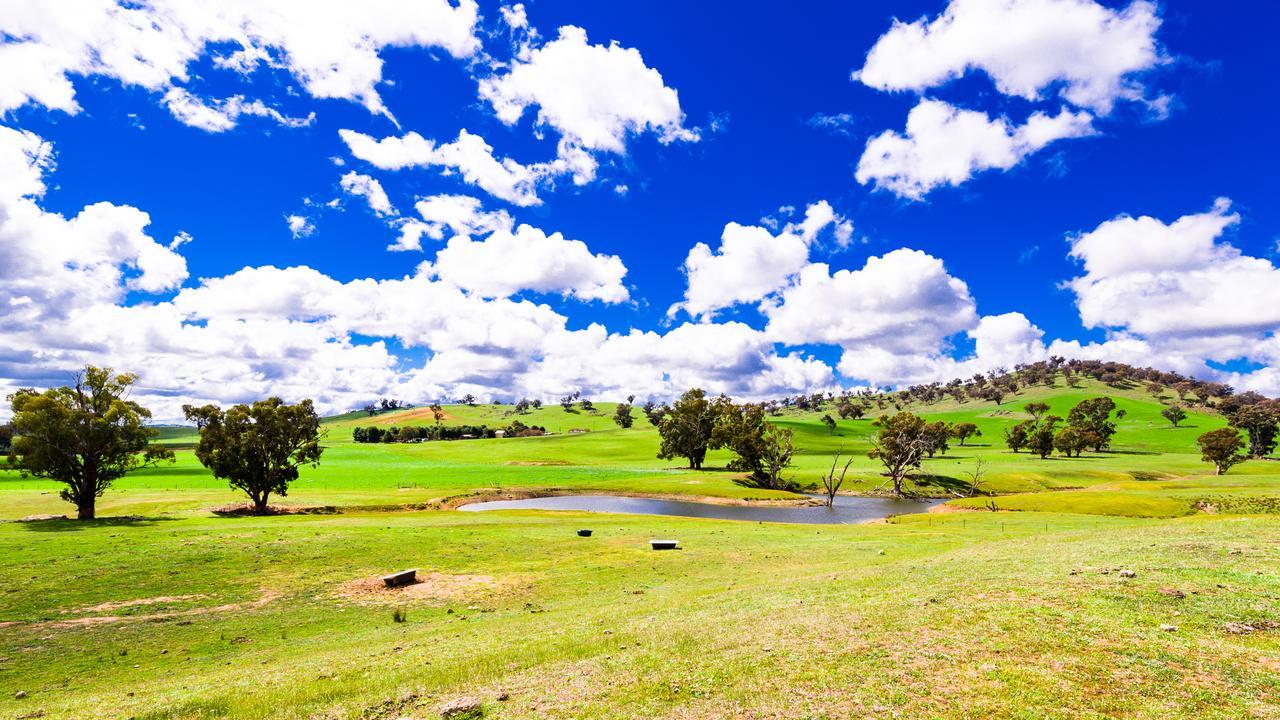 Hillview Farmstay