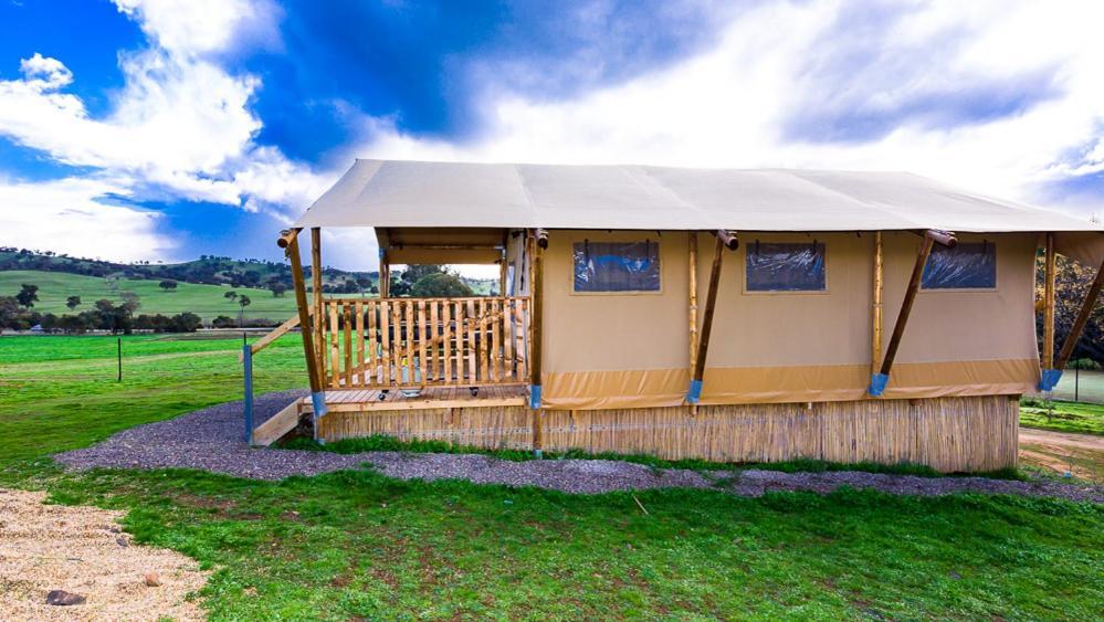 Farm stay Hillview Farmstay